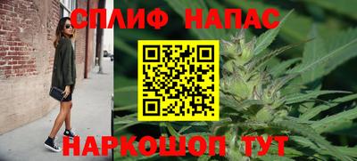 mdpv Ярославль