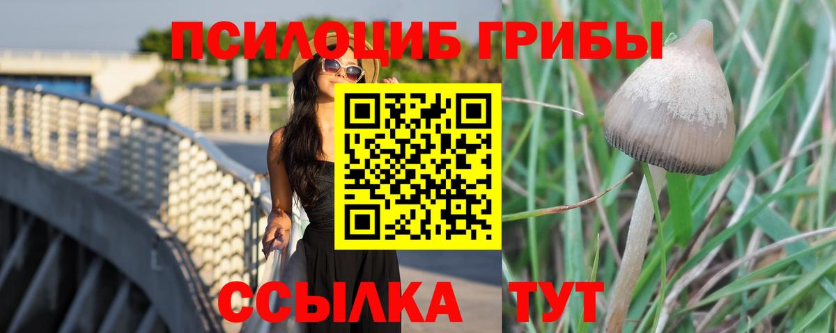 Кыштым  Галлюциногенные грибы мицелий  Псилоцибиновые грибы Magic Shrooms  Вход с VPN 
